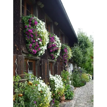 بيت للعطل One-bedroom Rötenbach